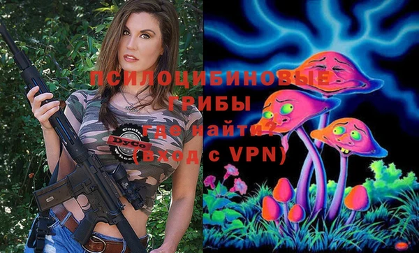 эйфоретик Алзамай